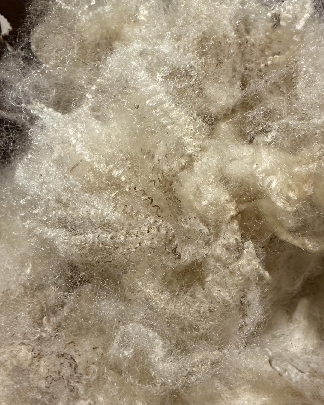 Spinning Process