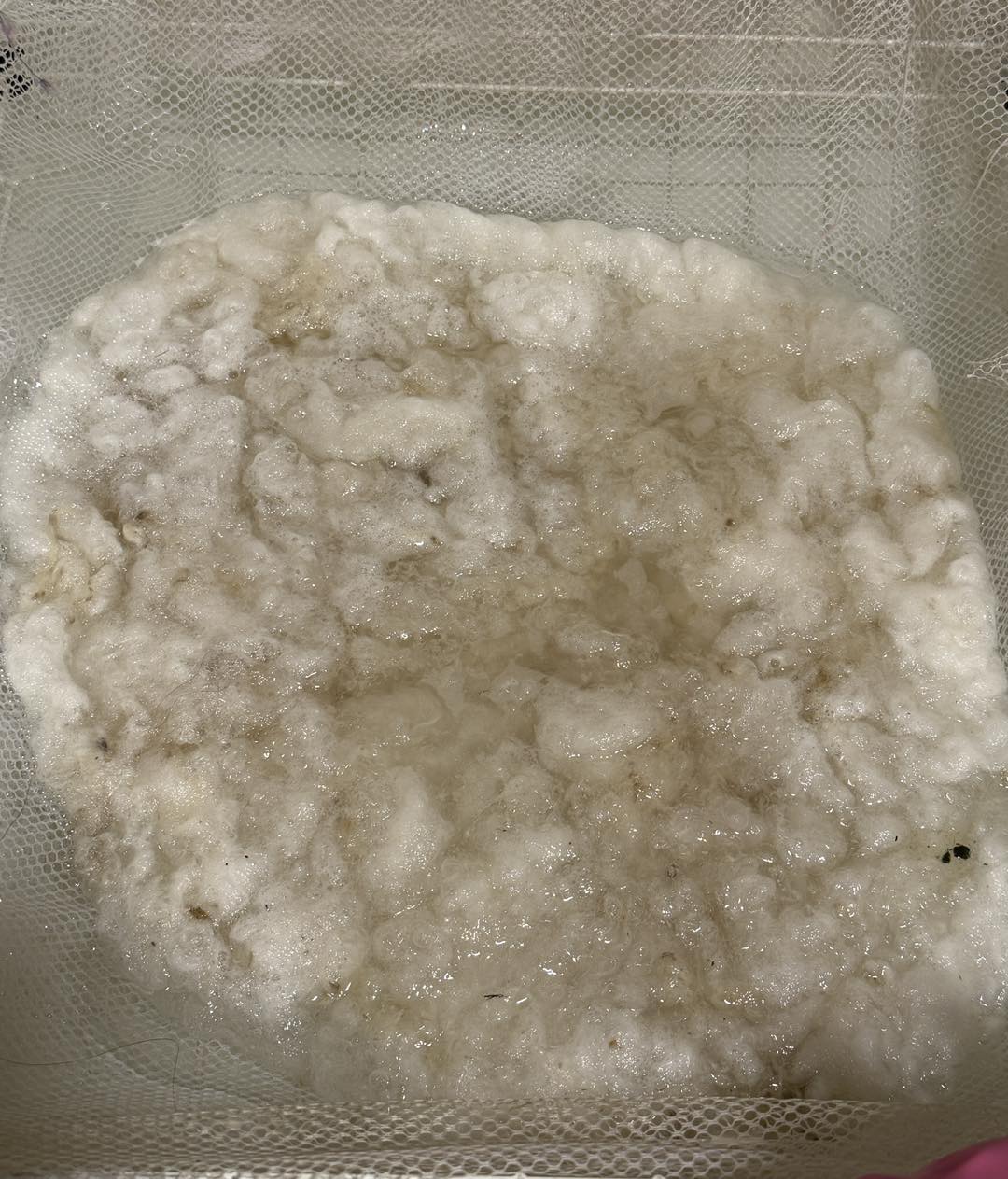 Dyed Fibers
